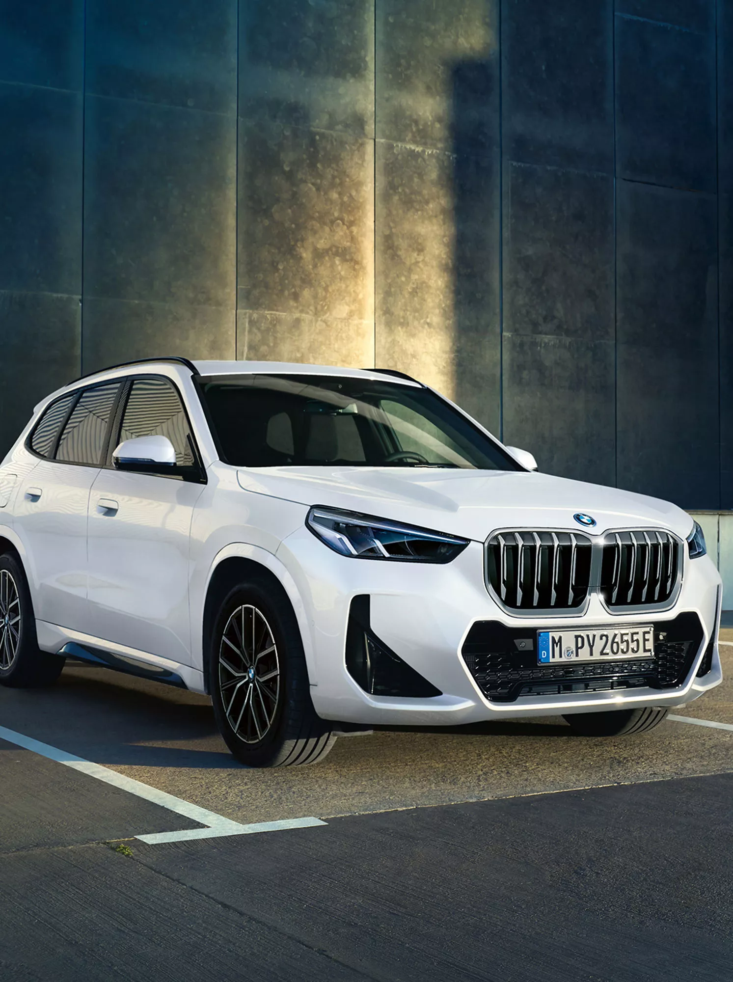 The BMW X1