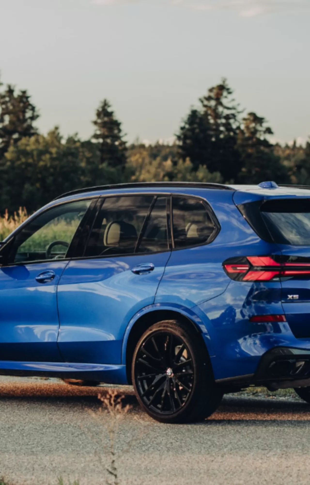 BMW X5 M60i xDrive Pasiūlymo kaina 100 463 Eur.