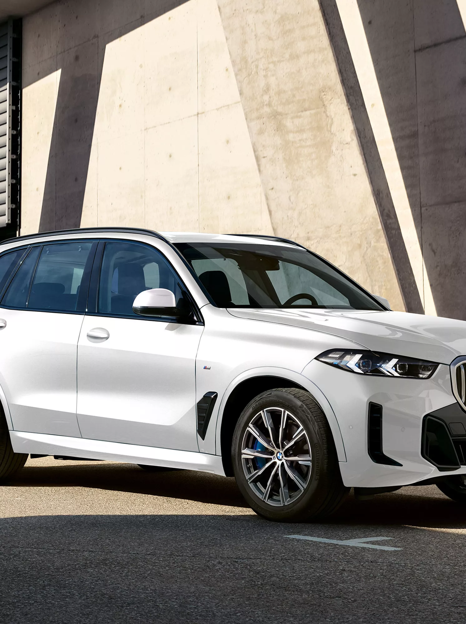 The BMW X5